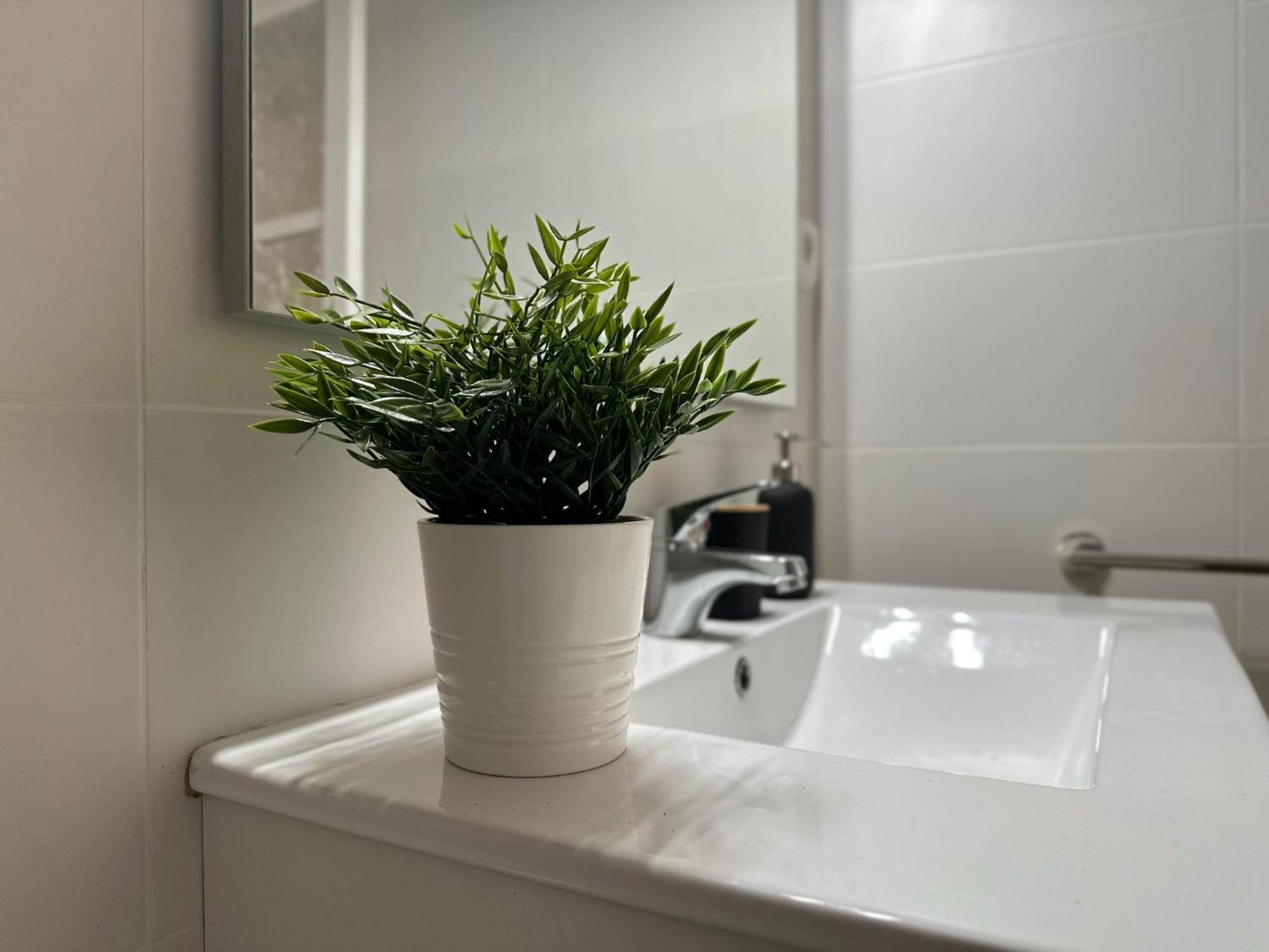 Apartamentos Vernia Ontinyent Exterior foto